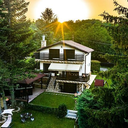 Вила Теkето I Vila Teketo Family Guest House Nikolovo 外观 照片