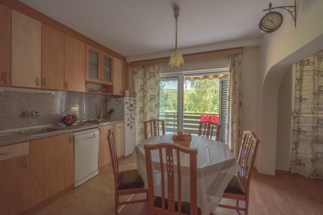 Вила Теkето I Vila Teketo Family Guest House Nikolovo 外观 照片